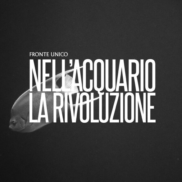 Nell'acquario la rivoluzione Fronte Unico